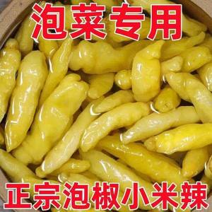 Commercial Pickled Wild Chili Peppers