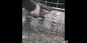 2.5mm thickest Pagar Kebun Besi Lembu Cyclone 4/5/6 Kaki Jaring Pagar Kambing Rusa Kebun Dawai Pagar Galvanised Quality