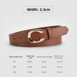 Fashionable Slim Decorative Belt