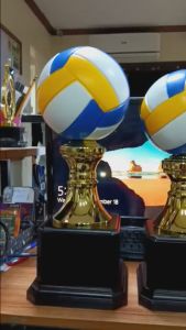 Volleyball Trophy Set Of 3 Height 50 cm/45 cm/40 cm ( CY990-1 )( Customize Available ) Trophies WITH RUST