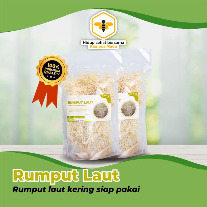 Rumput Laut Kering Premium | Lazada Indonesia