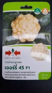 ผักซอง ศรแดง กะหล่ำดอก เออร์รี่ จำนวน 100 เมล็ด/ซอง หมดอายุ 05/05/2569 ลอตใหม่ งอกดี กะหล่ำดอกพันธุ์เบา ออกดอกเร็วสม่ำเสมอ ดอกแน่นทรงโดม สีขาวครีม ต้นแข็งแรง ระยะเก็บเกี่ยว 45 วัน npkplant