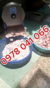 Máy thái hành củ hành tím làm hành phi hành ngâm giấm chạy điện