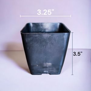 กระถางสี่เหลี่ยม 3 นิ้ว กระถางทรงสี่เหลี่ยม