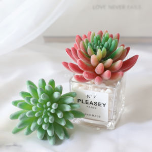 Artificial Succulent Pant Fake Flower Ins Northern Europe Small Pot Plant Combination Modern Minimalist Bookshelf Table Decoration Furnishings
