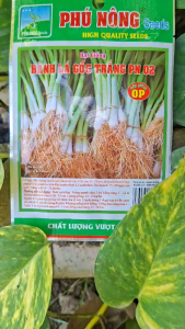[TRUNG THIEN THINH] Hạt giống Hành lá gốc trắng PN02 gói 2gam của Phú Nông