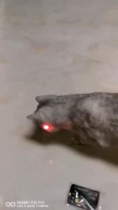 Pet Cat Toy Cat Laser Fun Stick Tease Cat Tease Interactive Laser Straight Line Cat LED Light Toy (No Specific Color)