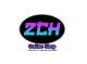 2CHOnlineshop
