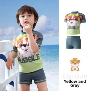 Paw Patrol | Antibacterial Boys Swimwear