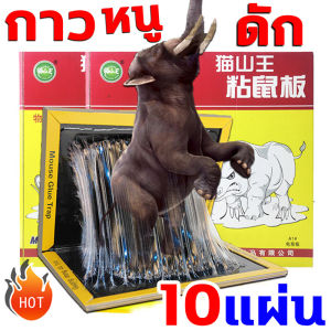 ดักหนู กาว แบบสำเร็จรูป เหนียวหนึบพิเศษ ติดทน ไม่ไหลเยิม ปลอดสารพิษ เก็บได้นาน 10 แผ่น/กล่อง