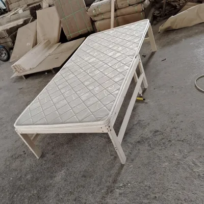 Durable Extendable Hidden Bed