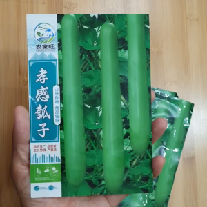 Hạt giống bầu trái dài nhập khẩu siêu ngọt và sai trái - Hoang My food and beauty