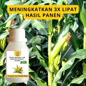 Pupuk Jagung Cepat Berbuah / Pupuk Pelebat Buah Jagung / Pupuk Booster Jagung Cair