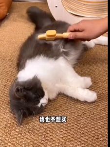 Sikat Kutu Kucing Stainless Steel Pet Dog Cat Flea Comb Sisir Sikat Kutu Pet Comb Fur Removal Cat Comb Dog Comb