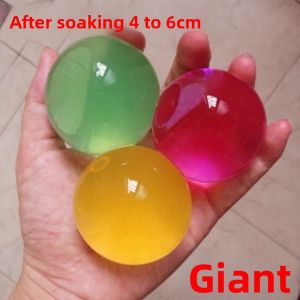 gumahus | Non-Toxic Giant Water Beads