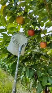 Vợt hái trái cây trên cao Dụng cụ hái quả trên cao đa năng kèm túi vải.
