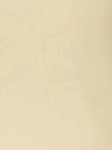 JIANTAI pH and TDS Meter Combo 0.05ph High Accuracy Pen Type pH Meter ± 2% Readout Accuracy 3-in-1 TDS EC Temperature Meter for Hydroponics Household Drinking and Aquarium