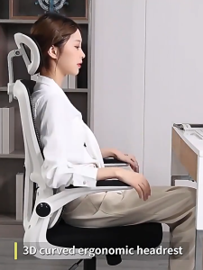Bona High-back Ergonomic Mesh Back Office Chair/ Computer Chair/ Desk Chair/ Study Chair Computer Desk Chairs Mesh Home Office Chair