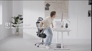 Hinomi Q1 Ergonomic Home Office Mesh Chair Ergochair With Adjustable Lumbar Support Headrest and Armrest