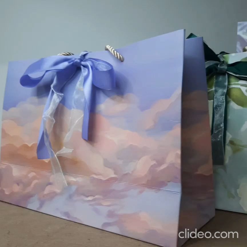 Premium Paper Bag Gift Bag Birthday Party Goodie Bag Paper Bags for Gift
