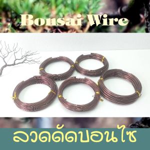 ลวดดัดบอนไซ 100 กรัม มีให้เลือก 5 ขนาด บรรจุภัณฑ์เบอร์ 1, 1.5, 2, 2.5, 3