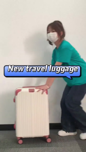 PG Elegant Hard Case Travel Luggage 20/24 Inch Durable Waterproof Suitcase with 360° Silent Spinner Wheels and Combination Lock