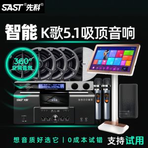 Smart Ceiling Mounted Bluetooth Speaker Subwoofer 5.1 Channel Integrated Meeting Room Shop Sound System SAST AV-8000