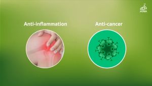 เอมมูร่า สูตรใหม่ล่าสุด นวัตกรรมการดูแลสุขภาพ ที่ทรงพลัง รวมถึงทันทุกสถานการณ์