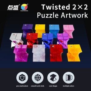 Diansheng Twistde 2x2 Puzzle Artwork Magic Speed Cube Fidget Toys Diansheng twist Skewb 2x2 Cube Series