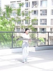Stainless Steel Foldable Telescopic Drying Rack