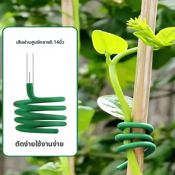 ลวดมัดต้นไม้สีเขียว สำหรับกุหลาบและเถาวัลย์ ยึดติดโครง