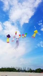 500cm jellyfish kite pendant flying outdoor toys adults kite reel soft kite show inflatable alien kites parachute beach kites