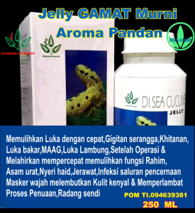 Sea Cucumber Jelly Gamat 500 ml dan 250 ml Obat Maag Asam Lambung Thypus Untuk Kecantikan Nyeri Sendi Regenerasi Sel Obat Ambeien