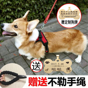 Dog Hand Holding Rope Small and Medium-Sized Dogs Lettering Dog Tag Dog Vest Type Corgi Teddy Chest Strap Dog Leash Jarre Aero Bull Walking Dog