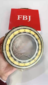 Vòng bi FBJ NJ2216 NJ2217 NJ2218 NJ2219 NJ2220 NJ2222 NJ2224