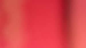 celana dalam anak perempuan karakter lucu umur 1-8 tahun Cd anak cewek