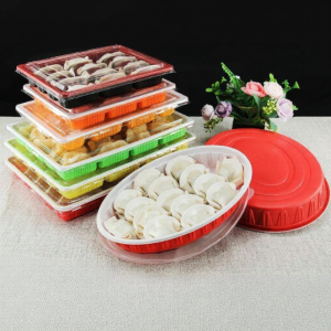 ZHENTAIYUAN | Frozen Dumpling Storage Box Takeaway