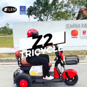 ★KEMILNG★ electric tricycle scooter adult 1800w new mini family car for men and women