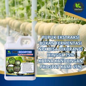 INTERFARM POC Booster Pupuk Cair Organik Melon - Nutrisi Tinggi untuk Buah Rendah Gula