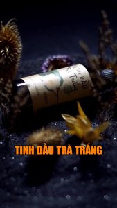 Tinh dầu Trà trắng giúp thơm phòng khử mùi thanh lọc không khí thư giãn giảm stress - freshfood & cosmetic