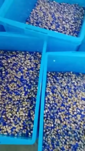 {\n \"article\": \" FITTING PNEUMATIC MSL FLOW SPEED CONTROL MALE SELANG SLIP LOCK 1/8\\\" 1/4\\\" 3/8\\\" 1/2\\\" Inch SLIPLOCK SL