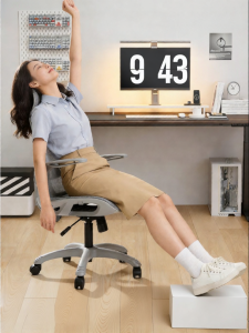 YOULANSEN | Ergonomic Adjustable Office Chair