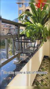ALX MALAYSIA 22cm Balcony Plant Hanging Basket Flower Pot Holder Hanger Fence Planters Assemble Outdoor Plant Baskets Rak Pasu 花盆架