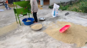 Máy Quạt Lúa Chạy Điện 220V Giá Rẻ Miễn Phí Vận Chuyển