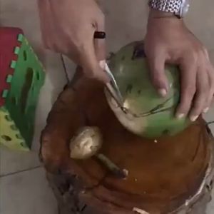 Stainless Steel Alat Pembuka Kelapa Untuk Dapur Air Tawar Hijau Muda Kupas Coconbits Putih
