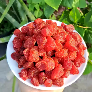 3F Food Dried Soft Strawberries In Ziplock Pouch(Organic No Sugar Added ) Healthier Dry Snacks