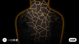 GUIZHOU ZHENJIU Traditional Edition 30-Year-Aged 500mL ABV 53% 