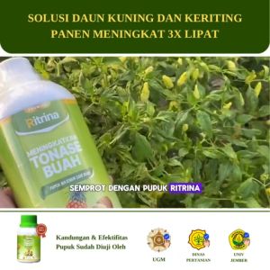 Ritrina Asli 1 L - Pupuk Cair Buah Pelebat Tanaman Cabai Mangga Anggur Alpukat Jeruk Durian
