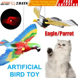 ❤️❤️❤️ 【Parrot/Eagle】Simulation Bird Cat Interactive Toys Hanging Eagle Flying Teasering Play Kitten Dog Toys Animals Cat Accessories Supplies LZC-Flying-Toy