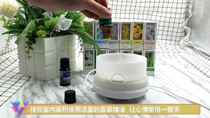 Natural Plant Essential Oils Aromatherapy Essential humidifier Fragrance Aroma Fragrance Oil Minyak Wangi Aromaterapi